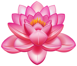 Lotus Flower PNG Clipart | ផ្កាឈូក | Pinterest | Lotus flower ...