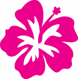 28+ Collection of Pink Hibiscus Flower Clipart | High quality, free ...