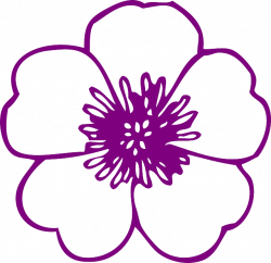 Free Image on Pixabay - Flower, Purple, Blossom, Bloom | Pinterest ...