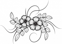 flowers, vector drawing png | flowers, vector, | Pinterest