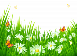 Grass with White Flowers PNG Clipart | Gallery Yopriceville - High ...