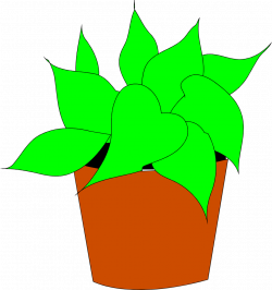Plants | Free Stock Photo | Illustration of a potted house plant ...