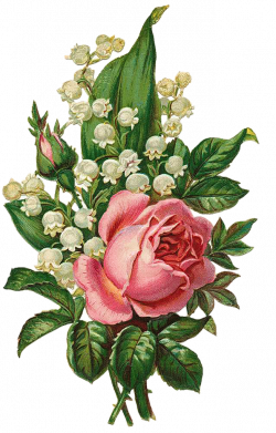 Art Vintage Flowers  Винтажные цветы. Обсуждение на LiveInternet ...