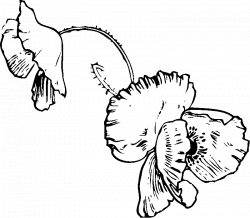 Poppy Coloring Page | Dog Coloring Pages Org