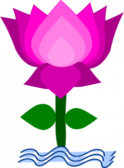 clip art lotus flower free - Google Search | Lotus Flowers ...