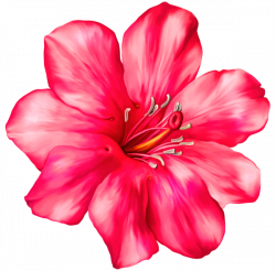 Exotic Pink Flower PNG Clipart Picture | Scrapbooking | Pinterest ...