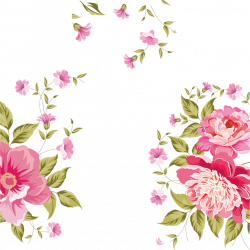 flower background rosas - Sticker by Tamara Pereira
