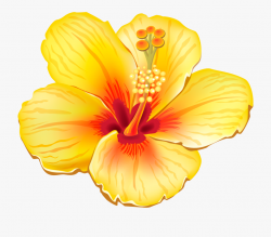 Hibiscus Clipart Exotic Flower - Tropical Flowers Clipart ...