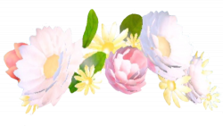 Snapchat Flower Crown PNG File | PNG Mart