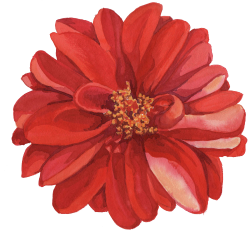28+ Collection of Tumblr Flower Png Drawing | High quality, free ...