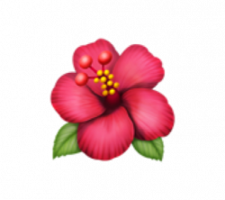 15 Flower emoji png for free download on mbtskoudsalg