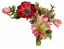 Antique Images: Free Digital Flower Images of Corner Design with Red ...