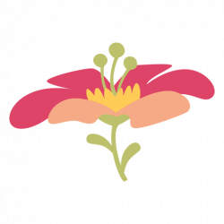Pink flower illustration - Transparent PNG & SVG vector