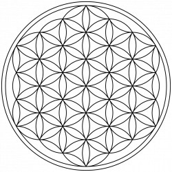 File:Flower-of-Life-19circles36arcs-enclosed.svg - Wikimedia Commons