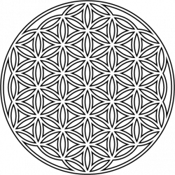 The Flower of Life – First Glass Design