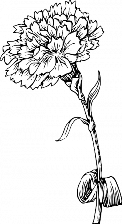 Image - Red-black-outline-drawing-sketch-flower-white.png | Animal ...