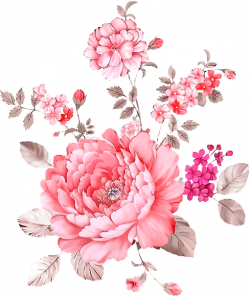 PINK FLOWERS - TRANSPARENCY / OVERLAY FOR PERSONAL USE | PNG ...