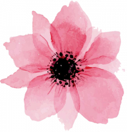 overlay flower floral flor - Sticker by MONI