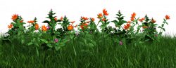 Free PNG: Grass and Flowers by ArtReferenceSource on DeviantArt