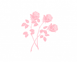 15 Flower png tumblr for free download on mbtskoudsalg