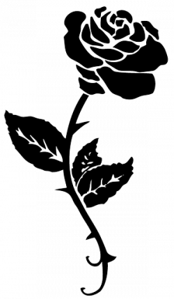 Black rose tattoo png #39048 - Free Icons and PNG Backgrounds