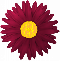 Red Flower Transparent PNG Clip Art Image | Gallery Yopriceville ...