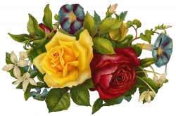 Image - FREE vintage printable images floral.png | Animal Jam Clans ...