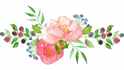 15 Watercolor flower png for free download on mbtskoudsalg