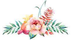 Watercolour Flower Border Png - peoplepng.com