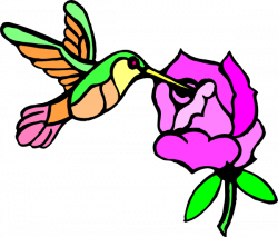 Hummingbird With Flower Clip Art at Clker.com - vector clip art ...