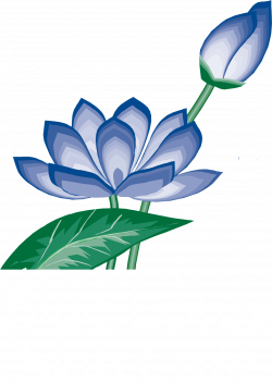 Blue Lotus Skin Care | Blue Lotus Skin Care