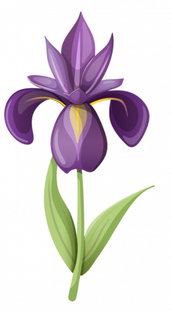 6.png | Flowers, Clip art and Flower
