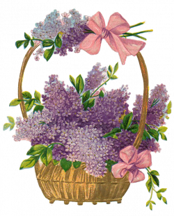 Leaping Frog Designs: Free Image Easter Basket PNG Lilacs And Pink ...