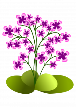 Clipart - Small flowers