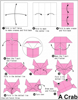 Excellent origami flowers for beginners - http://www.ikuzoorigami ...