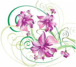 1 (20).png | Flower clipart and Album