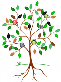 Free Image on Pixabay - Tree, Root, Leaves, Owls, Green | Owl ...