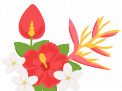 Tropical Flowers Cliparts Free Download Clip Art - carwad.net