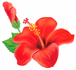 Red Exotic Flower PNG Clipart Picture | Gallery Yopriceville - High ...