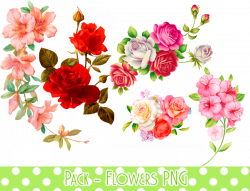 Pack - Flowers PNG #1 by MinmeyPrints on DeviantArt