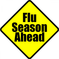 Health Services / Cold and Flu Season