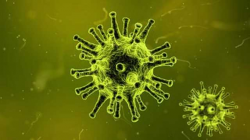 New Way to Target the Flu Virus | Technology Networks