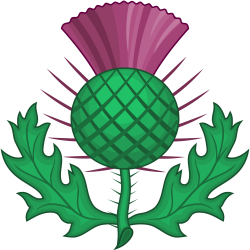 Scottish Thistle Silhouette at GetDrawings.com | Free for personal ...