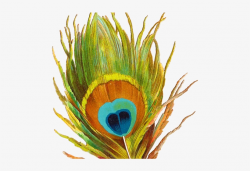 Flute Clipart Mor Pankh - Peacock Feather Png PNG Image ...