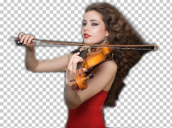 Violin Music Orchestra Flute Painting PNG, Clipart, Bizi ...