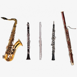 Flute Clipart Clarinet - Woodwind Instruments #318255 - Free ...