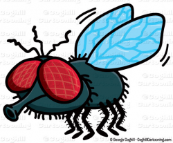 Cartoon Fly Clip Art Stock Illustration - Coghill Cartooning