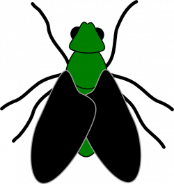 Green Fly Clip Art - Clipart Vector Illustration •