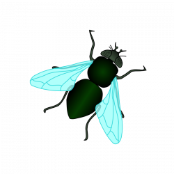Clipart - Green House Fly