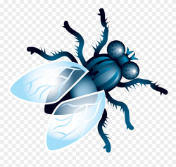 Free Images Toppng Transparent - Fly Png Clipart (#391112 ...